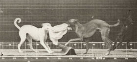 Plate 715 'Ike', 'Maggie', etc. tugging at a towel — figure reference